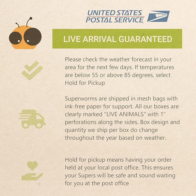 Superworms - Large - 500ct