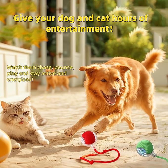 Interactive Dog Cat Toy Ball, Automatic Moving Bouncing Rolling, with Replacement Tail, Pet Smart Chase Ball Rechargeable, Enrichment Toys for Bored Indoor Adult Cats/Dogs (Grey)