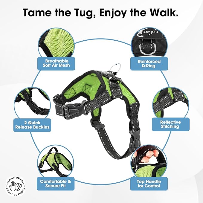 No Pull Reflective Adjustable Dog Harness With Handle- Comfortable Soft All Weather Mesh, Easy On Puppy Harness For Small Medium and Large Dogs (Green) Small