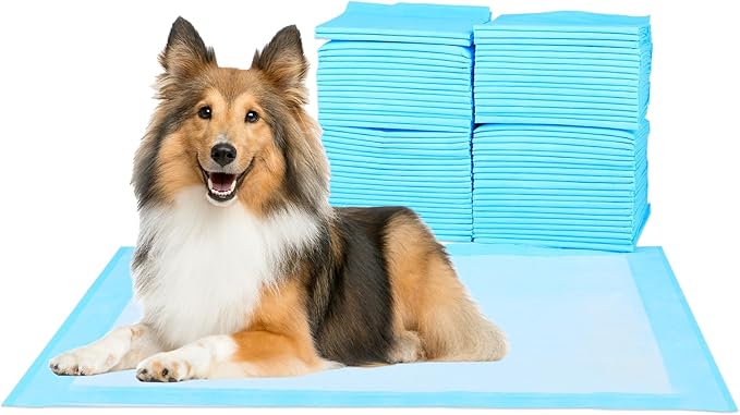 Super-Absorbent Waterproof Dog and Puppy Pet Training Pad, Housebreaking Pet Pad,Blue (23.6"x23.6" （100PCS）)