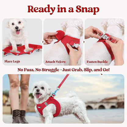rabbitgoo Dog Harness Small Medium Sized and Leash Set, Step in Soft Light Puppy Vest, Breathable Mesh Pet Harness, Reflective for Safe Easy Walking, Red L