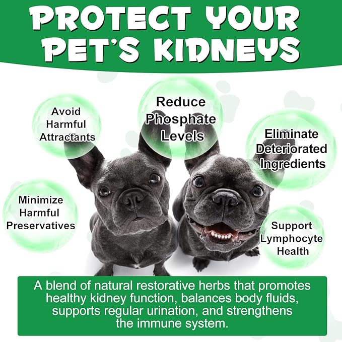 Kidney Support for Dogs - Kidney Support Supplement, Supports Immune, Urinary & Kidney Health Function, Natural Herbal Supplement (2 Fl Oz)