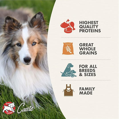 Fromm Adult Gold with Ancient Grains Dog Food - Premium Dry Dog Food - Chicken Recipe - 5 lb