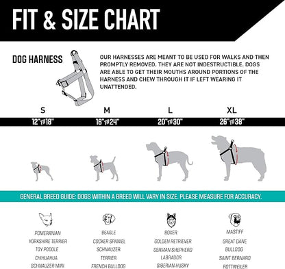 Wolfgang Heavy Duty Adjustable Dog Harness, Pull-Tested to Over 800 lbs for Walking & Training, NewMoon Print, Small