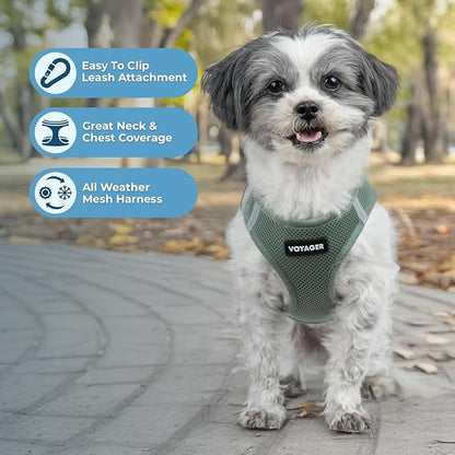 Best Pet Supplies Voyager Step-in Air Harness - All Weather Mesh, Reflective, No Pull Harness for Dogs, Cats - Secure with Hook & Loop Fastener, Buckle, Double D-Rings - Moss Green, XXS