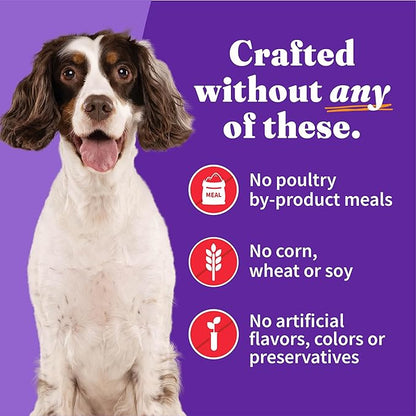 Halo Wet Dog Food Whole Beef Stew Recipe, Healthy Grains Real Meat Canned Dog Food, Meal or Topper, 13.2 Oz Can (Pack of 6)