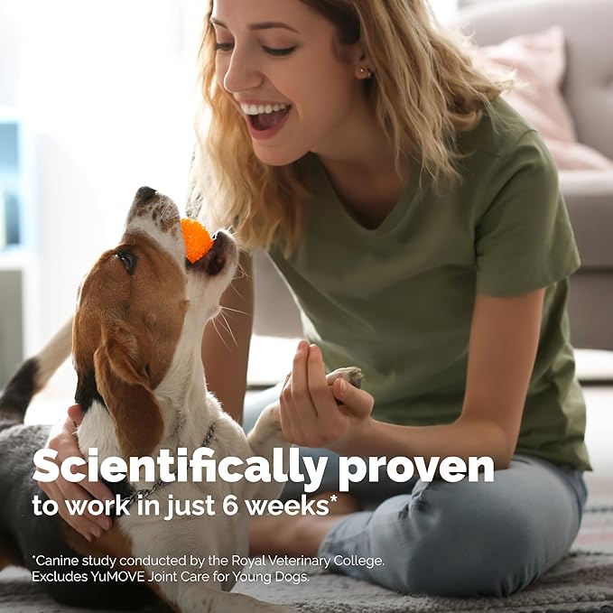 YuMOVE Hip & Joint Supplement for Dogs with Glucosamine, Hyaluronic Acid, Green Lipped Mussel & Omega 3 Joint Supplement - Regular or Advanced Strength (150ct Chews, Regular Strength)