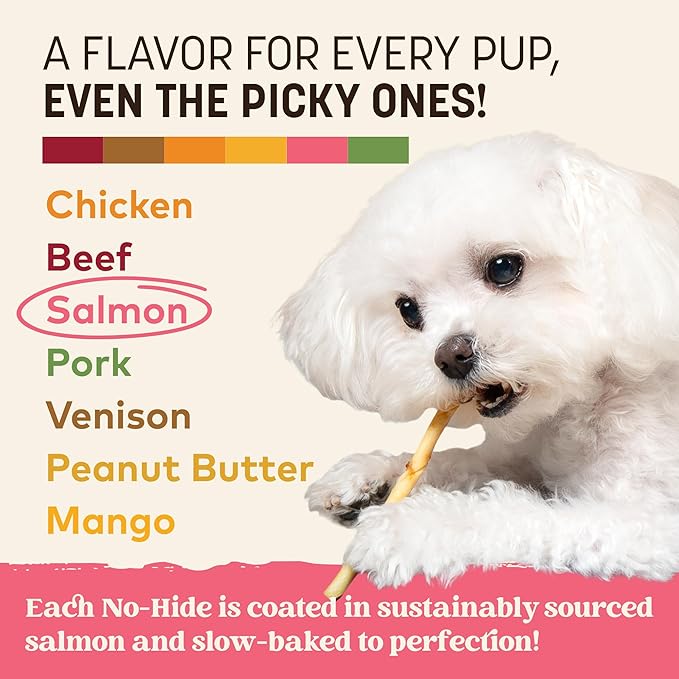 Earth Animal No Hide Stix - Long Lasting Rawhide Free Small Dog Chews Sticks, Salmon - 40 Count Extra Value Pack