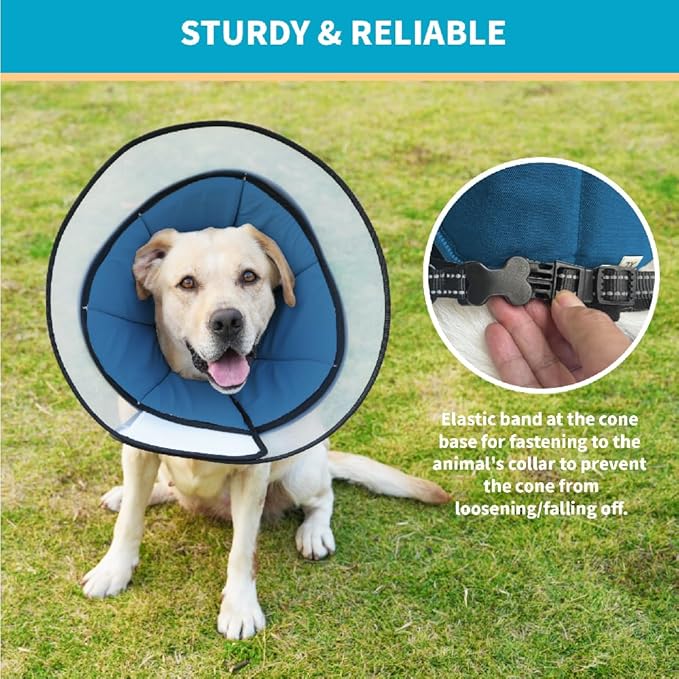 Cone Pet Cone (Blue, L(15.5"-17.8"))