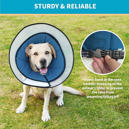 Cone Pet Cone (Blue, L(15.5"-17.8"))