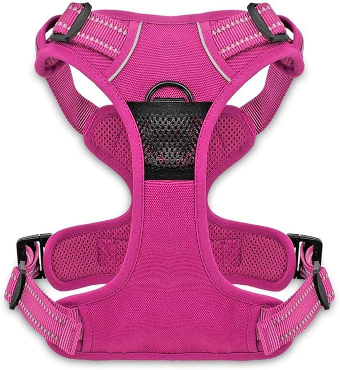 Voyager Dog Harness Dual Leash Attachment No-Pull Control Adjustable Soft but Strong Pet Harness for Medium and Large Dogs with 3M Reflective Technology, Fuchsia Nylon, M (Chest: 20-25")