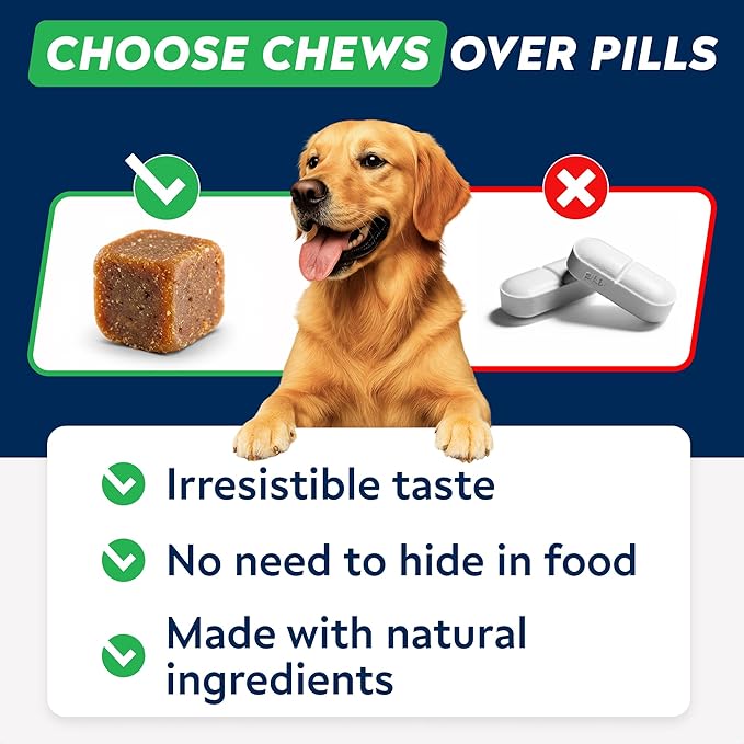 StrellaLab Dog Allergy Relief & Anti Itch Support Chews w/Omega 3: Real Ingredients, Real Taste! Skin & Coat Immune Supplement w/Fish Oil, Pumpkin & Enzymes — Developed by Experts - Made in USA -180Ct