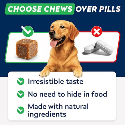 StrellaLab Dog Allergy Relief & Anti Itch Support Chews w/Omega 3: Real Ingredients, Real Taste! Skin & Coat Immune Supplement w/Fish Oil, Pumpkin & Enzymes — Developed by Experts - Made in USA -180Ct