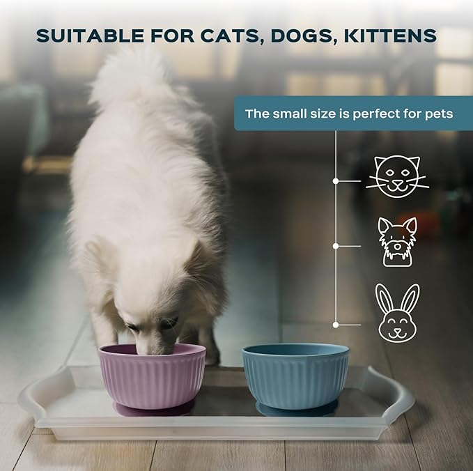 Cat Bowls with Suction Cup 400ml with Silicone Lid — Elevated Silicone Pet Dish with Non-Slip Bottom for Dry Food, Wet Food and Water — Silicone Water Bowl for Small Dog, Rabbit, Kittens (Grafit)