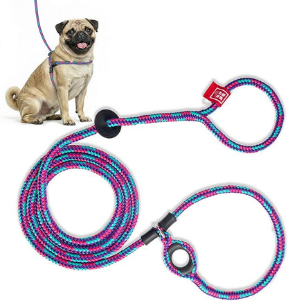 Harness Lead No Pull Dog Harness and Leash Set, Anti Pull Dog Harness, One-Piece Cushioned Rope Safely Prevents Escaping and Pulling (Small/Medium, Reef)