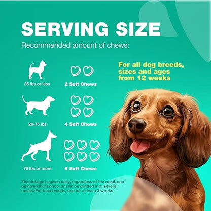 Probiotics for Dogs Gut Health, Digestion, Immunity, Yeast Balance, Itchy Skin, Allergies Support - Dog Probiotic Chews (Travel Pack) with Digestive Enzymes for Gut Flora - Pumpkin and Yeast Powder