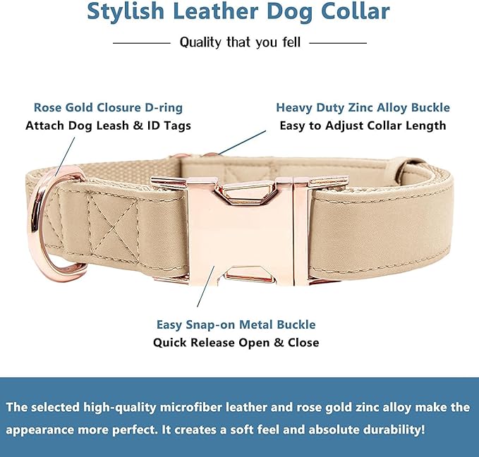 Soft Leather Dog Collar and Leash (6.6') Set - Stylish Rose Gold Heavy Duty Metal Buckle, 4 Adjustable Lengths Leash for Small Medium Large Dogs - Comfortable & Easy to Clean Beige XS(8"-12")