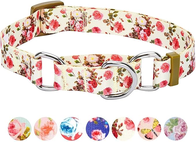 Blueberry Pet Spring Scent Inspired Rose Print Martingale Safety Training Dog Collar, Ivory, Medium, Heavy Duty Adjustable Collars for Dogs
