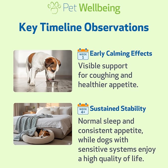 Pet Wellbeing Slippery Elm for Dogs - Vet-Formulated Dual Digestive & Throat Support - Organic Single Herb Extract - Holistic Soothing Dog Supplement - Liquid Formula 2 oz (59ml)