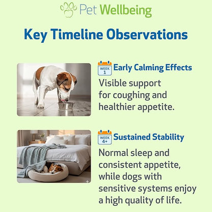 Pet Wellbeing Slippery Elm for Dogs - Vet-Formulated Dual Digestive & Throat Support - Organic Single Herb Extract - Holistic Soothing Dog Supplement - Liquid Formula 2 oz (59ml)