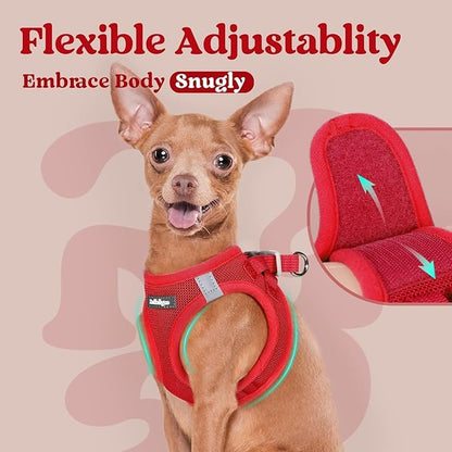 rabbitgoo Small Dog Harness, Step-in Soft Mesh Puppy Vest with Safety Buckle, Breathable Reflective Pet Harness for Extra Small Dogs, Red XXS