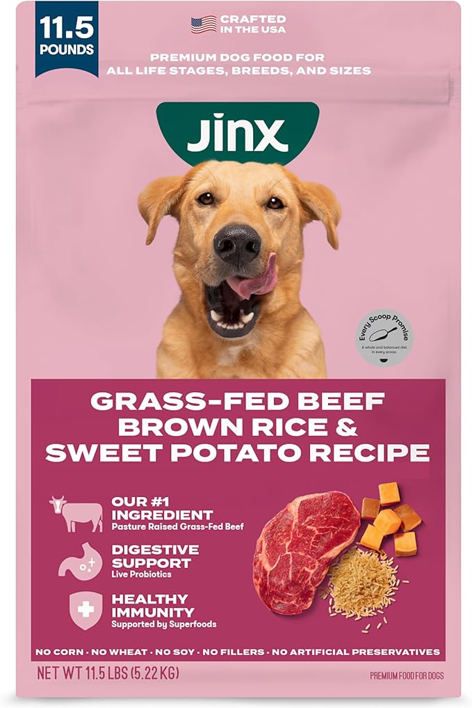 Jinx Premium Dry Dog Food, for All Lifestages - Real Beef, Brown Rice & Sweet Potato Kibble with Superfoods for Immune Support & Probiotics for Digestive Support - No Fillers - 11.5lb