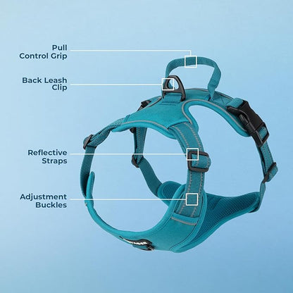 Voyager Dog Harness Dual Leash Attachment No-Pull Control Adjustable Soft but Strong Pet Harness for Medium and Large Dogs with 3M Reflective Technology, Turquoise Nylon, M (Chest: 20-25")