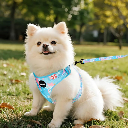 Small Dog Harness and Leash Set of 6, No Pull Soft Lightweight Mesh Puppy Harness， Adjustable Cute Floral Pattern Pet Harness for Small Medium Dogs (Blue Sea, XS)