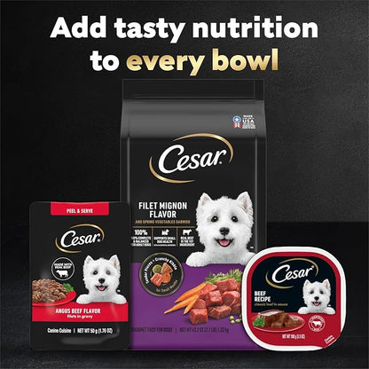 Cesar Filets in Gravy Wet Dog Food, Angus Beef Flavor, 1.76 oz. Mini-Pouch, 20 Count