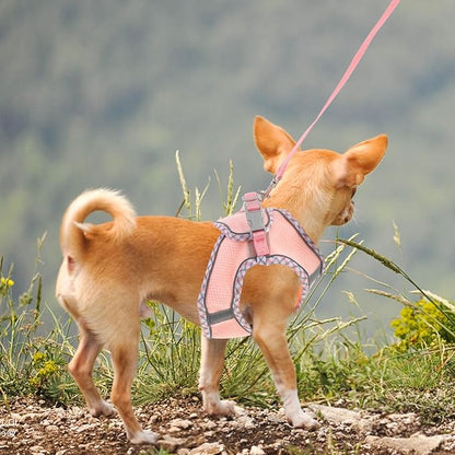 Milisten 1set Multifunctional Dog and Leash Reflective Pet for Dogs Lightweight for Training and Walking