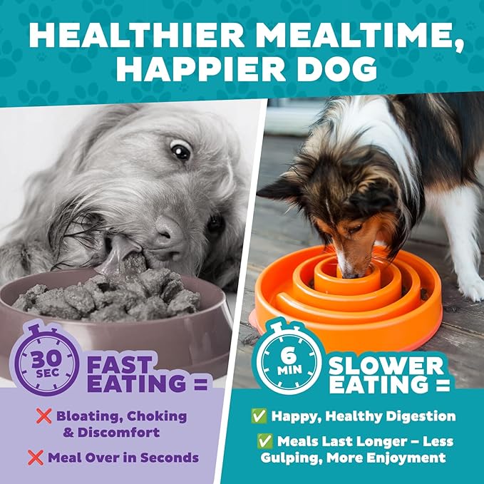 Outward Hound Fun Feeder Slo Bowl – Large 4‑Cup Capacity,Slow Feeding,Medium to Large Dogs,Non‑Slip,Orange,Swirl Pattern,(Pack of 6)