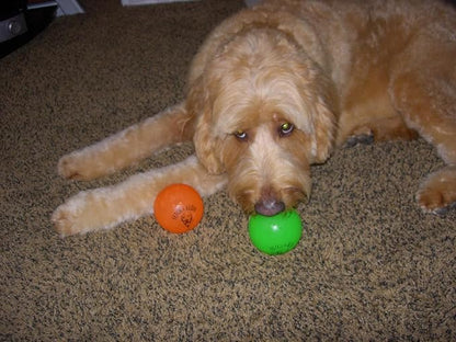 Spunky pup Fetch & Glow Ball Dog Toy | Glowing Logo Toss Balls for Large Dogs | Indoor & Outdoor Active Play | Durable | Waterproof & Floats | Non Toxic | Assorted Colors | For Large Dogs