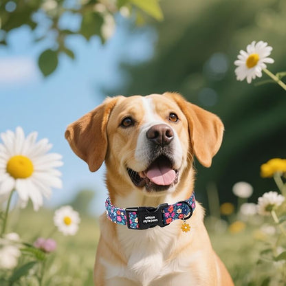 Unique style paws Dog Collar Plastic Buckle with Pendant Puppy Collar for Spring Summer Blue-Colored Flower for Small Medium Large Boys Girls Dogs