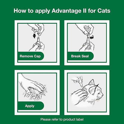 Advantage II Kitten Vet-Recommended Flea Treatment & Prevention | Cats 2-5 lbs. | 2-Month Supply