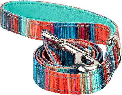 EcoBark Dog Leash - Soft & Reflective Comfort Leash with Padded Handle - Safe, Strong, & Durable for Small, Medium or Large Dogs (Multicolor Stripe)