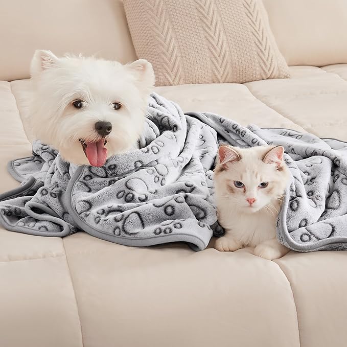 Luciphia 1 Pack 3 Blankets Fluffy Premium Fleece Pet Blanket Flannel Paw Printed Throw for Dog Cat Grey Paw Medium(30"x20",Pack of 3)