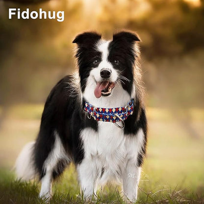 Reflective Martingale Dog Collar with Buckle Soft Nylon Geometric Patterns Pet Collars for Medium Dogs (Argyle, M)