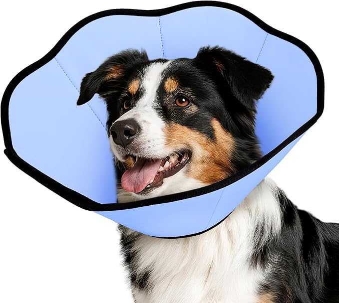 MIDOG Dog Cone Collar After Surgery, Soft Dog Cone Alternative to Stop Licking,Adjustable Elizabethan Recovery Cones for Small to Large Sized Dogs