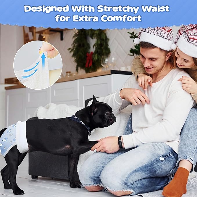 Ambreview Dog Diapers Female, Disposable Pulled Up Dog Diaper with Stretchy Waist, Super Absorbent 360° Leak-Proof Doggie Diapers for Female Puppy Dogs in Heat/Urinary Incontinence (10L)