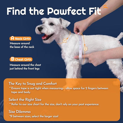 Eagloo Small Dog Harness and Leash Set, Step in Puppy Vest with Breathable Soft Mesh, Walking Reflective Pet Harness for Small Dogs, Navy Blue, S