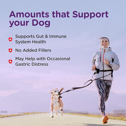 Nutri-Vet Bladder Control Supplement, Cranberry Supplement, Dog Products, Immune Support,Helps Dog Urinary Incontinence,Bladder Control Pills,Urinary Tract Health,Puppy Support,90 Tablets,(Pack of 2)