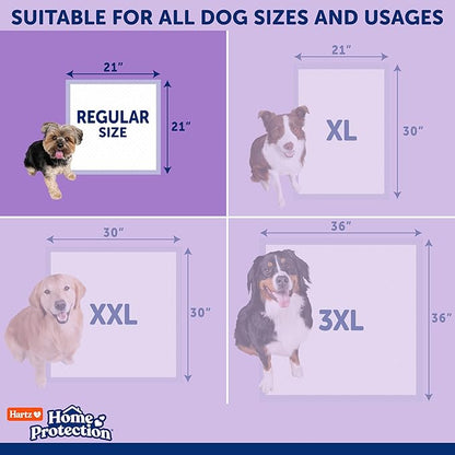 Hartz Home Protection Super Absorbent Odor Eliminating Lavender Scented No Leaks Dog Pads, 100 Count