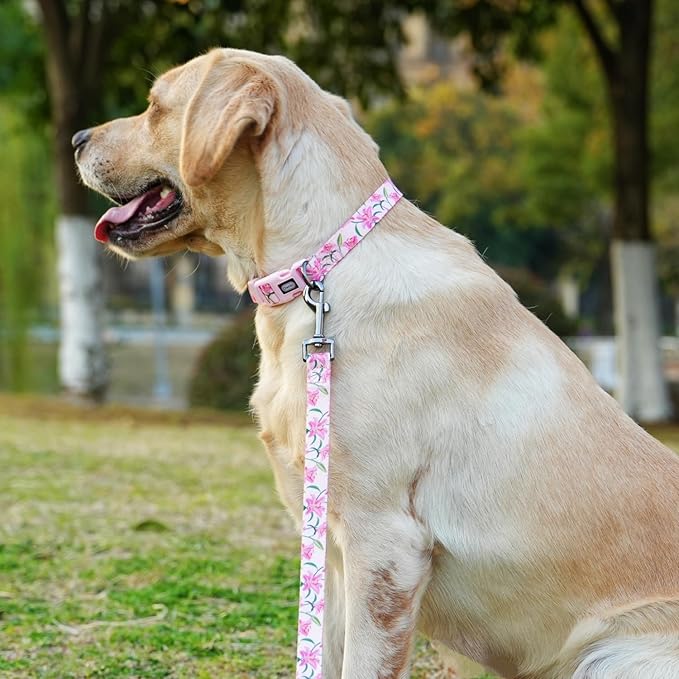Dog Collar Leash Set, Floral Pattern, Polyester Material, Adjustable Collar and 5ft Matchcing Leash, for Medium Dogs.(M, Pink Lily)