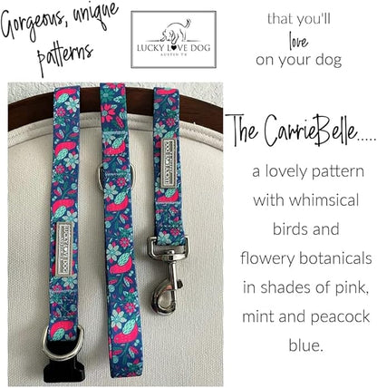 Lucky Love Dog - Easy Click Buckle Dog Collar with Leash Set Combo, Durable & Comfortable for Male & Female Dogs, Pet Collar for Small Dogs, Secure Fit - Carriebelle Martingale Combo, Small