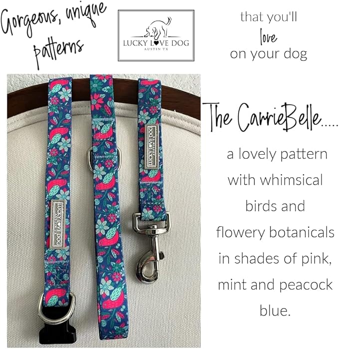 Lucky Love Dog - Easy Click Buckle Dog Collar with Leash Set Combo, Durable & Comfortable for Male & Female Dogs, Pet Collar for Medium Dogs, Secure Fit - Carriebelle Martingale Combo, Medium