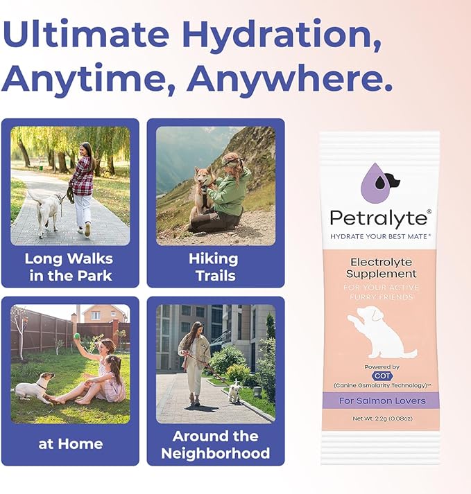Dog Electrolytes and Joint Supplement | Hydration Support for Dogs w/Glucosamine, Chondroitin & More | Electrolytes for Dogs with Prebiotics | Salmon Lovers | 32 Packets