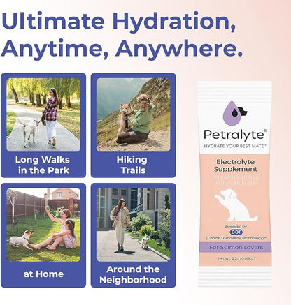 Dog Electrolytes and Joint Supplement | Hydration Support for Dogs w/Glucosamine, Chondroitin & More | Electrolytes for Dogs with Prebiotics | Salmon Lovers | 32 Packets