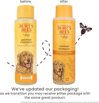 Burt’s Bees for Pets Oatmeal Dog Shampoo with Honey, Soothing Dog Shampoo for Itchy and Sensitive Skin, pH Balanced Formula That Gently Cleans and Moisturizes Dog Coats, 16 Fl Oz - 2 Pack