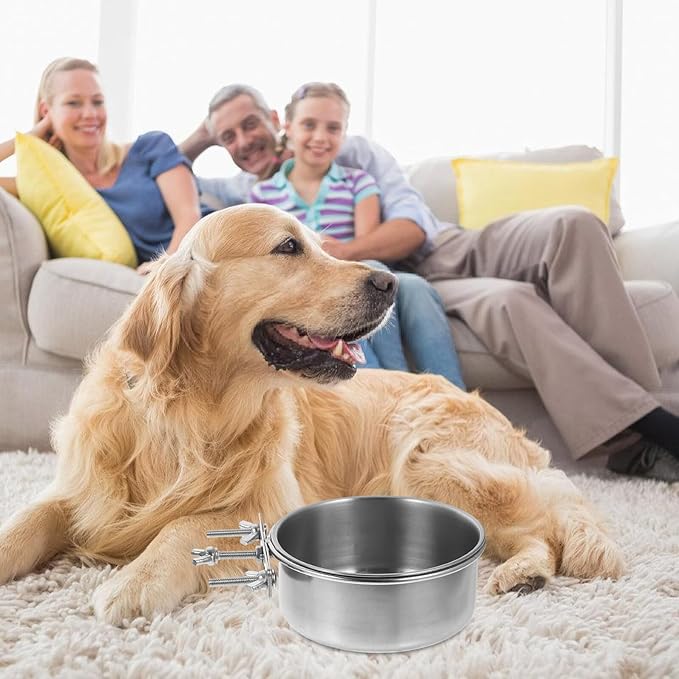 OUNONA 2pcs Stainless Steel Dog Water and Food Bowls Anti-Spill Large Capacity 10x4.5cm 12x5cm Pet Feeding Dish for Home Use Puppy and Kitten Supplies