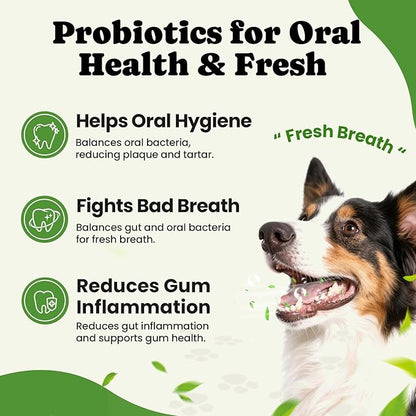Probiotics for Dogs - Digestive & Gut Health for Sensitive Stomachs ，Dog Probiotics Powder for Skin & Coat, Breath and Immunity with 11 Strains, 4 Prebiotics, 5 Enzymes, Pumpkin, 60 Packets, Chicken